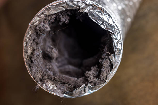 Best Air Vent Cleaning Services  in Coleytown, CT